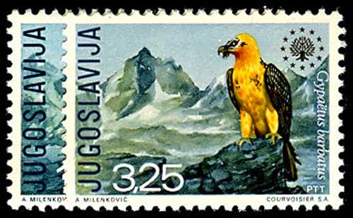 Lot 52239 - 1042-43